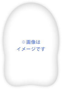 クッション本体イメージ