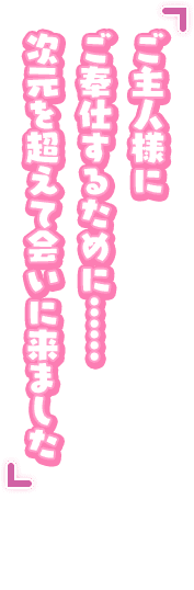 「ご主人様にご奉仕するために……次元を超えて会いに来ました」